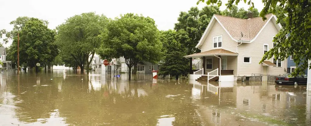 Sierra Restoration - Sierra Restoration Flood Damage Cache Valley