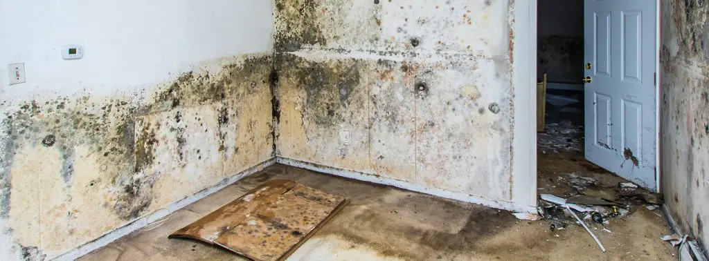 Sierra Restoration - Sierra Restoration mold removal logan, mold cleanup logan