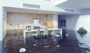 water damage restoration logan, water damage repair logan, water damage cleanup logan