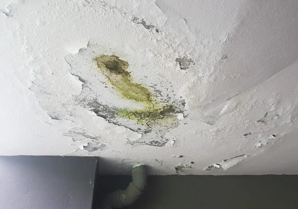 Sierra Restoration - Sierra Restoration water damage cleanup hyrum, water damage restoration hyrum, water damage repair hyrum