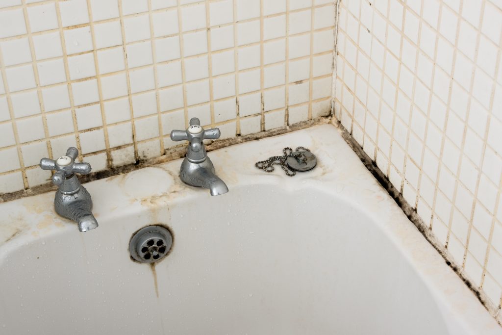 mold damage preston, mold remediation preston