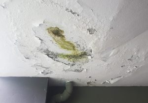 water damage cleanup hyrum, water damage restoration hyrum, water damage repair hyrum