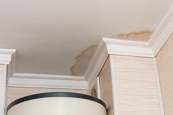 Water Damage Hyde Park