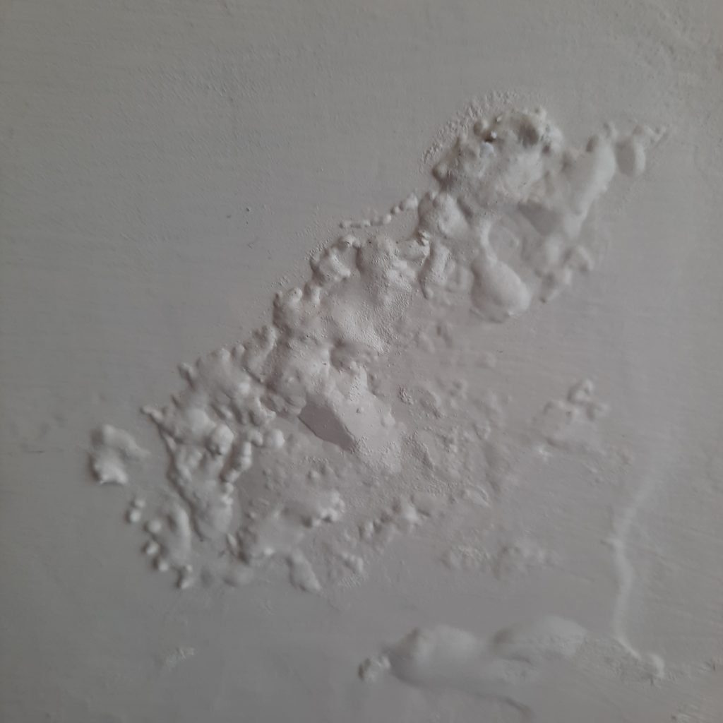 logan water damage cleanup