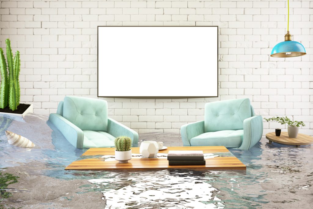 water damage hyde park