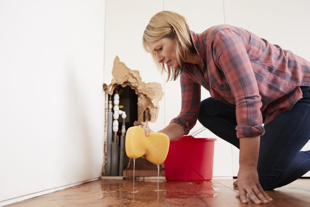 indoor water removal hyde park