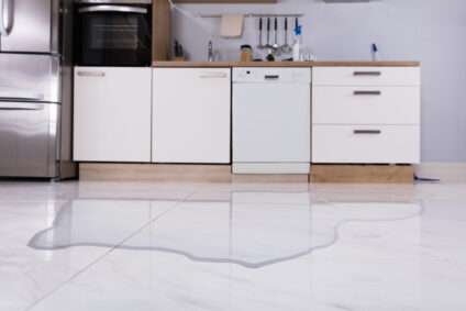 water damage cleanup utah